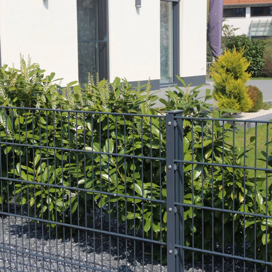 Doppelstabmatte Anthrazitgrau (RAL 7016) â Bild 2