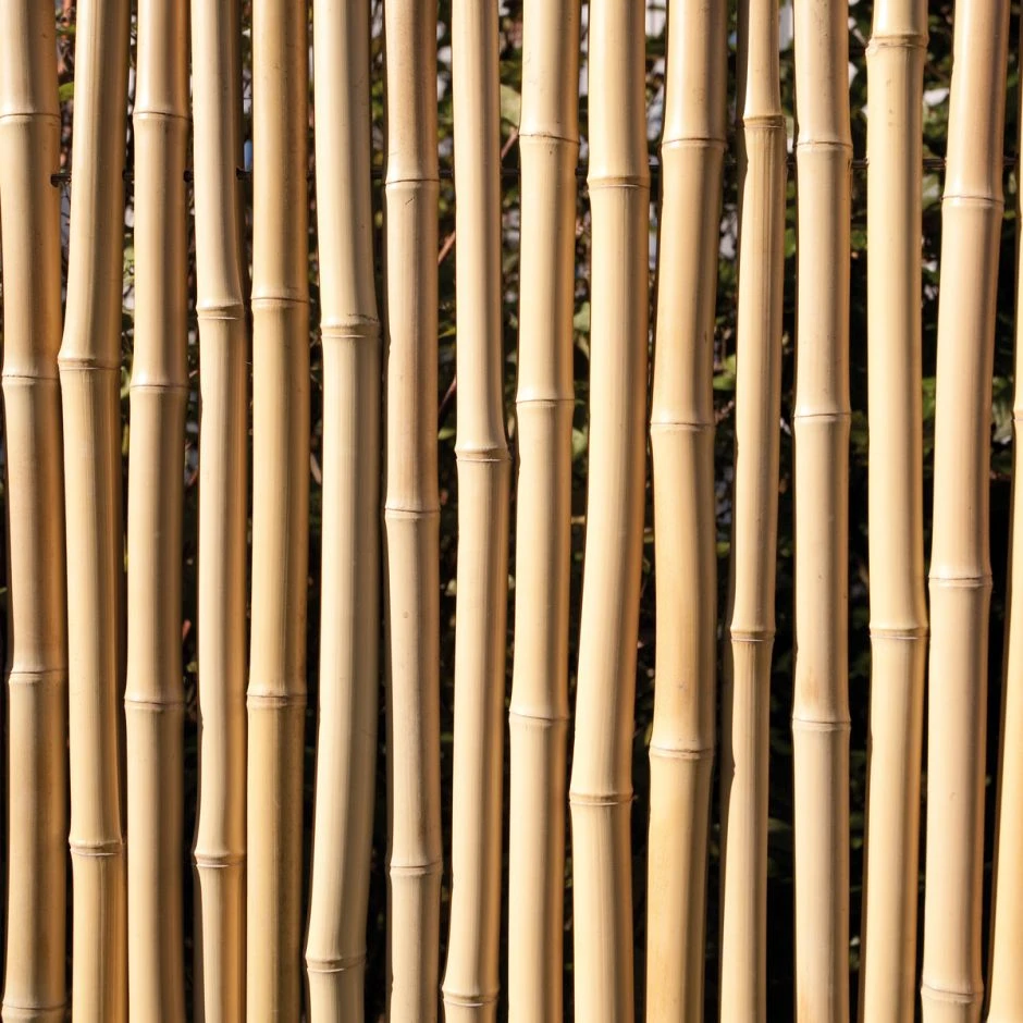 TraumGarten Sichtschutzzaun BAMBU Bambus â Bild 2