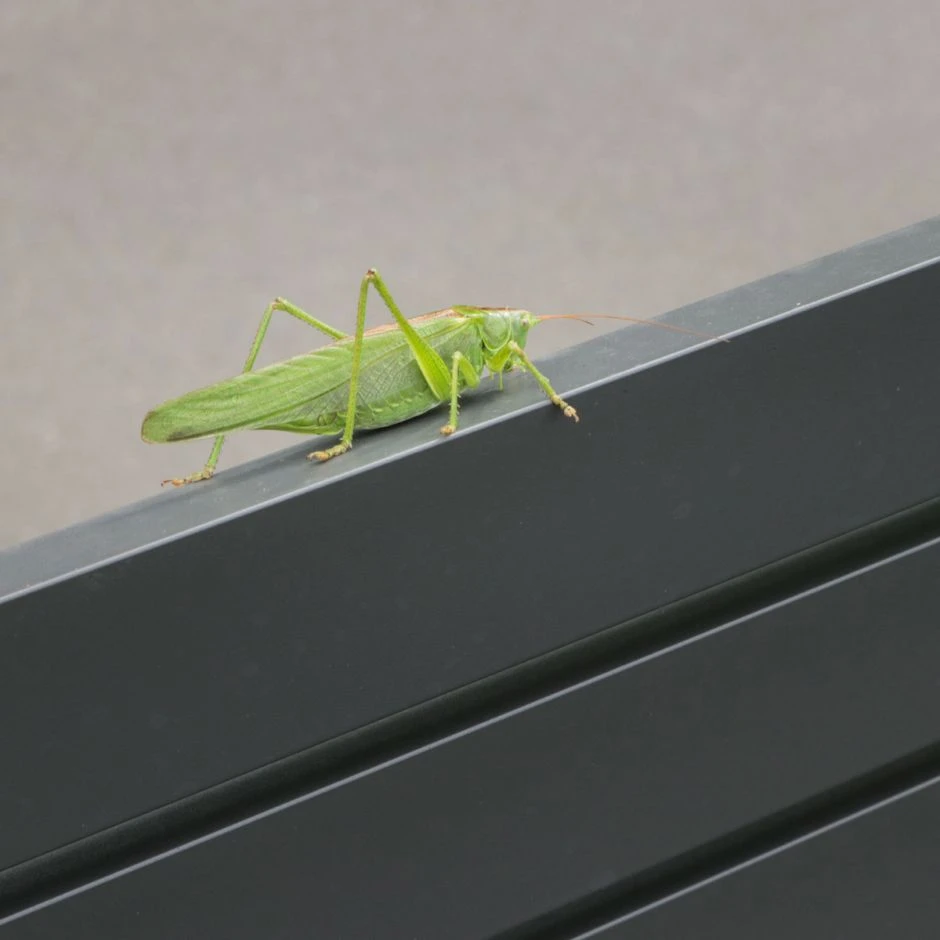 TraumGarten Gartenzaun SYSTEM Rhombus Anthrazit – Bild 6